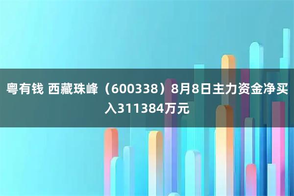 粤有钱 西藏珠峰（600338）8月8日主力资金净买入311384万元